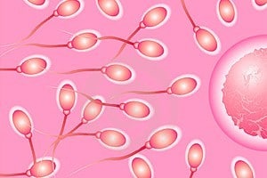 Fertilidad masculina en declive: ¿son eficaces los tratamientos con antioxidantes?