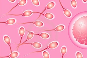 Congelación de semen paso a paso: cómo preservamos la fertilidad masculina