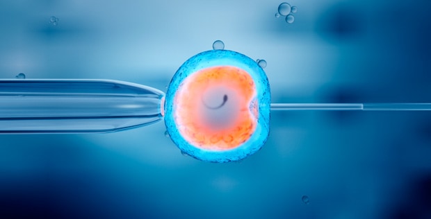 Ottenimento Degli Embrioni | URE Centro Gutenberg
