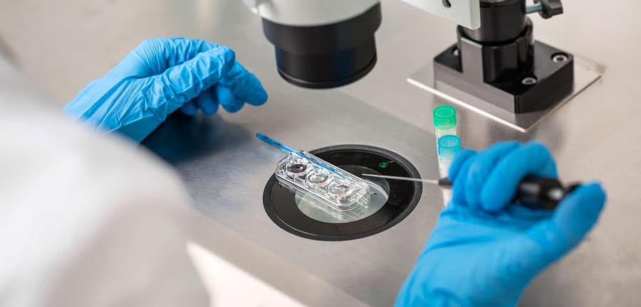 Frozen embryo transfer: Natural cycle or substituted cycle?